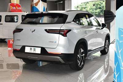 2024款 510km 旗舰型-外观-图片-有驾