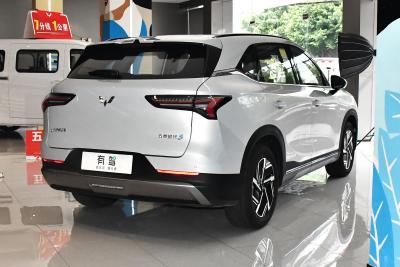 2024款 510km 旗舰型-外观-图片-有驾