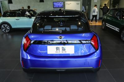 2024款 452km COOPER SE 艺术家-外观-图片-有驾