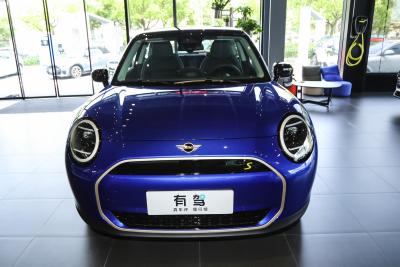 2024款 452km COOPER SE 艺术家-外观-图片-有驾