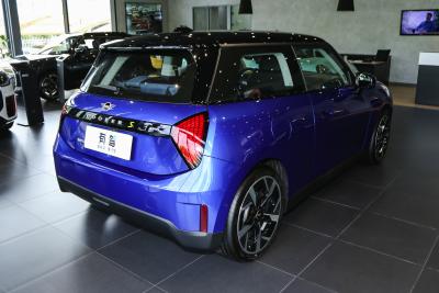 2024款 452km COOPER SE 艺术家-外观-图片-有驾