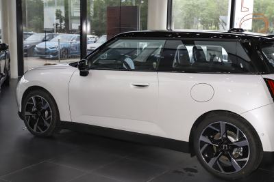 2024款 452km COOPER SE 艺术家-外观-图片-有驾