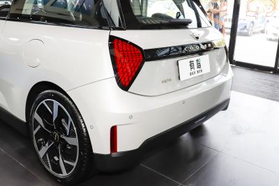 2024款 452km COOPER SE 艺术家-外观-图片-有驾