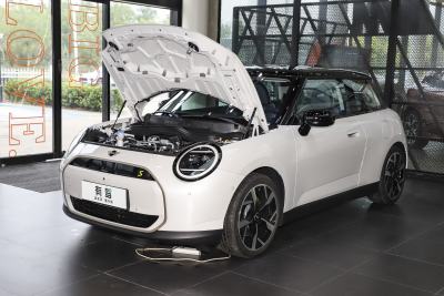 2024款 452km COOPER SE 艺术家-外观-图片-有驾