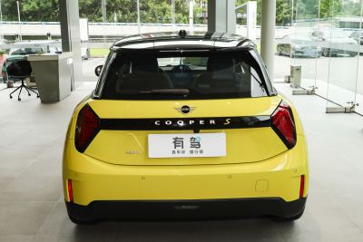 2024款 452km COOPER SE 艺术家-外观-图片-有驾