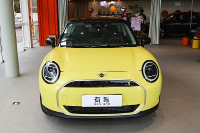 2024款 452km COOPER SE 艺术家-外观-图片-有驾