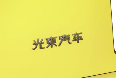 2024款 452km COOPER SE 艺术家-外观-图片-有驾