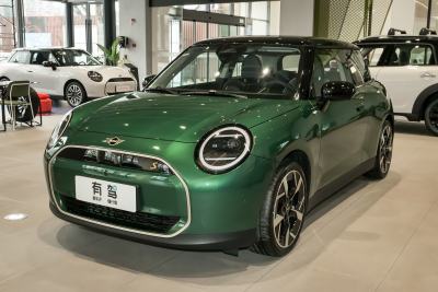 2024款 452km COOPER SE 艺术家-外观-图片-有驾
