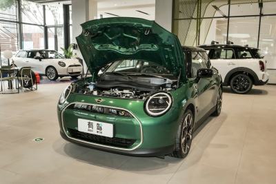 2024款 452km COOPER SE 艺术家-外观-图片-有驾