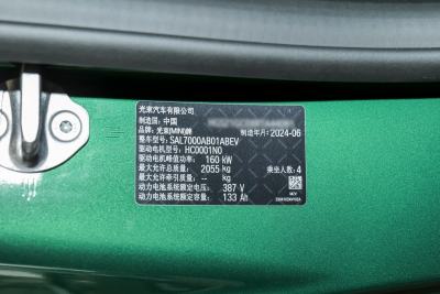 2024款 452km COOPER SE 艺术家-外观-图片-有驾
