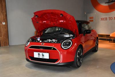 2024款 452km COOPER SE 艺术家-外观-图片-有驾