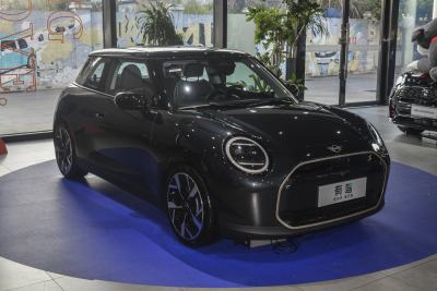 2024款 452km COOPER SE 艺术家-外观-图片-有驾