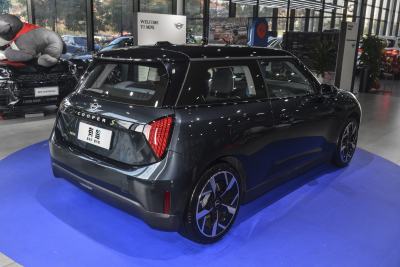 2024款 452km COOPER SE 艺术家-外观-图片-有驾