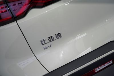 2024款 401KM 领先型-外观-图片-有驾