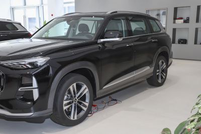 2025款 40 TFSI quattro 纪念版 羽林套装 7座-外观-图片-有驾
