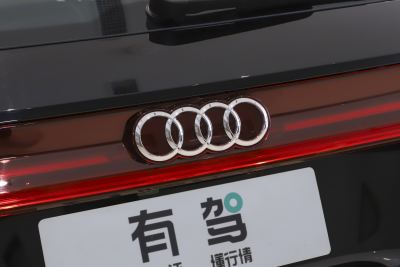 2025款 40 TFSI quattro 纪念版 羽林套装 7座-外观-图片-有驾