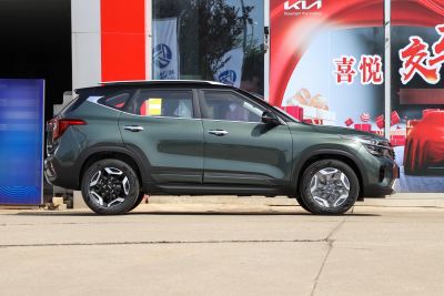 2023款 1.5L CVT尊贵版-外观-图片-有驾