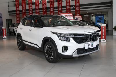 2023款 1.5L CVT尊贵版-外观-图片-有驾