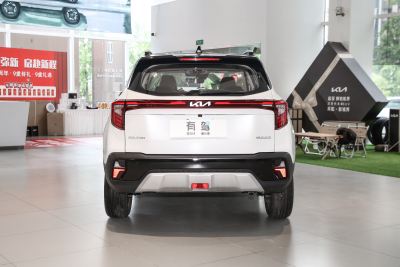 2023款 1.5L CVT尊贵版-外观-图片-有驾