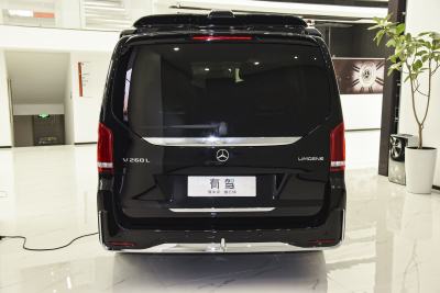 2023款 2.0T 商务型 7座-外观-图片-有驾