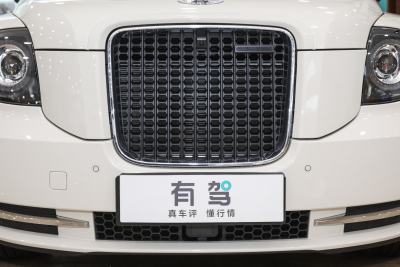 2022款 TX5 增程都市客厅版-外观-图片-有驾