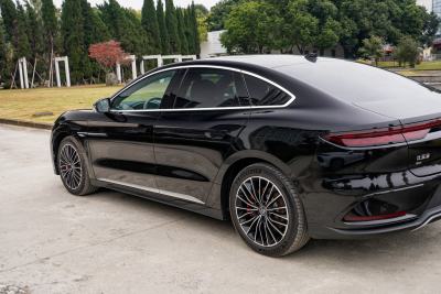 2025款 EV 智驾版 701KM激光雷达旗舰型-外观-图片-有驾