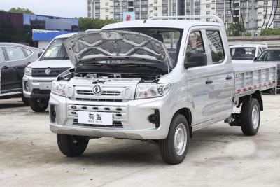 2024款 1.6L 双排 LV0-外观-图片-有驾