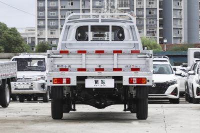 2024款 1.6L 双排 LV0-外观-图片-有驾
