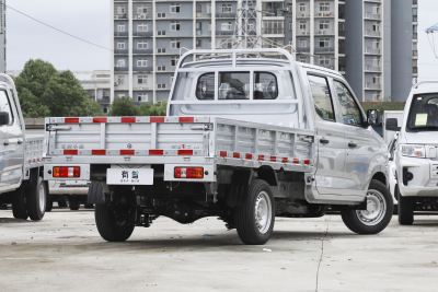 2024款 1.6L 双排 LV0-外观-图片-有驾
