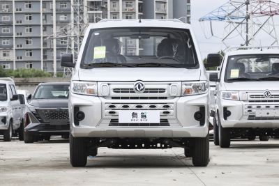 2024款 1.6L 双排 LV0-外观-图片-有驾