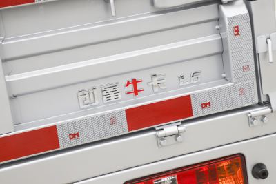 2024款 1.6L 双排 LV0-外观-图片-有驾