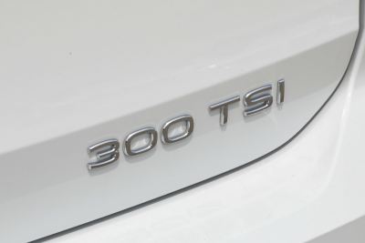2025款 300TSI 两驱皓月版-外观-图片-有驾 2025款 300TSI 两驱皓月版-外观-图片-有驾
