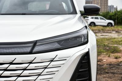 2026款 智慧冠军版 1.5T 新蓝鲸 智航型-外观-图片-有驾