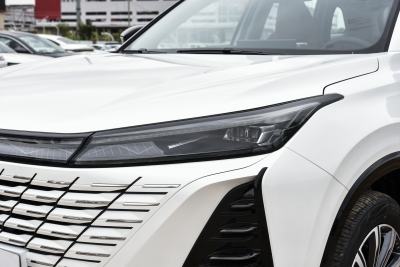 2026款 智慧冠军版 1.5T 新蓝鲸 智航型-外观-图片-有驾