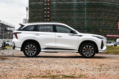 2026款 智慧冠军版 1.5T 新蓝鲸 智航型-外观-图片-有驾