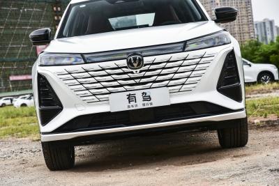 2026款 智慧冠军版 1.5T 新蓝鲸 智航型-外观-图片-有驾