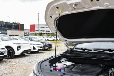 2026款 智慧冠军版 1.5T 新蓝鲸 智航型-外观-图片-有驾