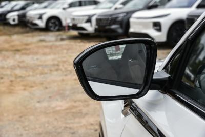 2026款 智慧冠军版 1.5T 新蓝鲸 智航型-外观-图片-有驾