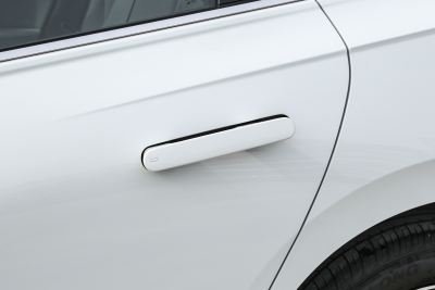 2026款 Pro 300TSI 六百万版-外观-图片-有驾