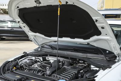 2026款 Pro 300TSI 六百万版-外观-图片-有驾