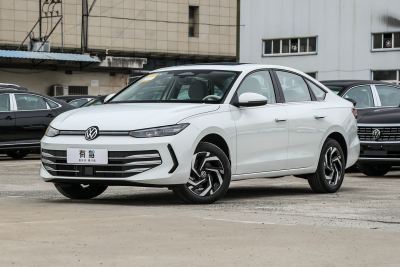 2026款 Pro 300TSI 六百万版-外观-图片-有驾