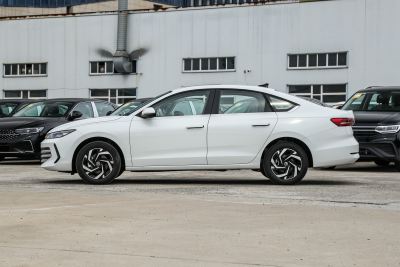 2026款 Pro 300TSI 六百万版-外观-图片-有驾