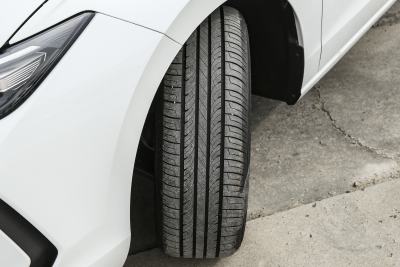 2026款 Pro 300TSI 六百万版-外观-图片-有驾