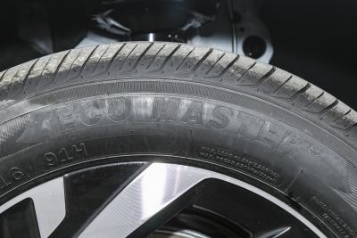 2026款 Pro 300TSI 六百万版-外观-图片-有驾