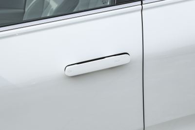 2026款 Pro 300TSI 六百万版-外观-图片-有驾