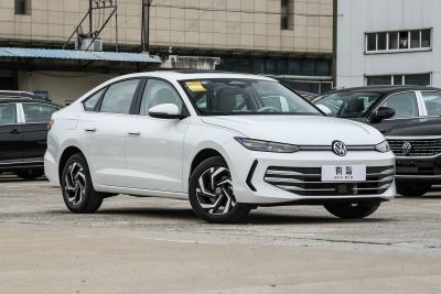 2026款 Pro 300TSI 六百万版-外观-图片-有驾