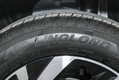 2026款 Pro 300TSI 六百万版-外观-图片-有驾