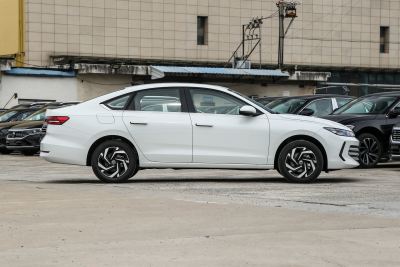 2026款 Pro 300TSI 六百万版-外观-图片-有驾