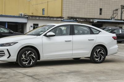 2026款 Pro 300TSI 六百万版-外观-图片-有驾