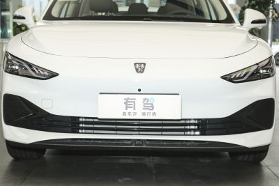 2025款 DMH 125km 世界冠军旗舰版-外观-图片-有驾